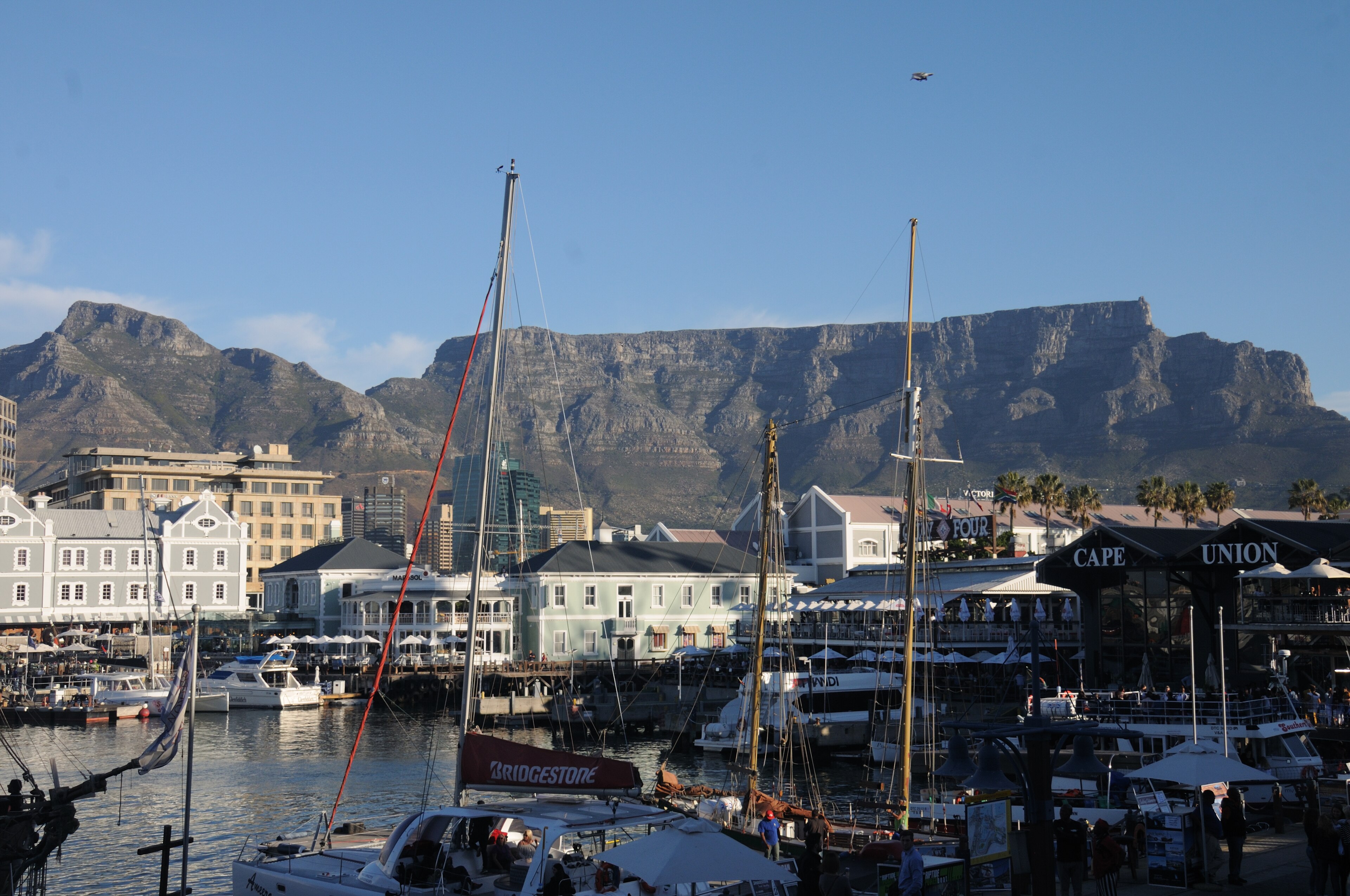 Harbour to Freedom: Waterfront, Robben Island & South African Lunch