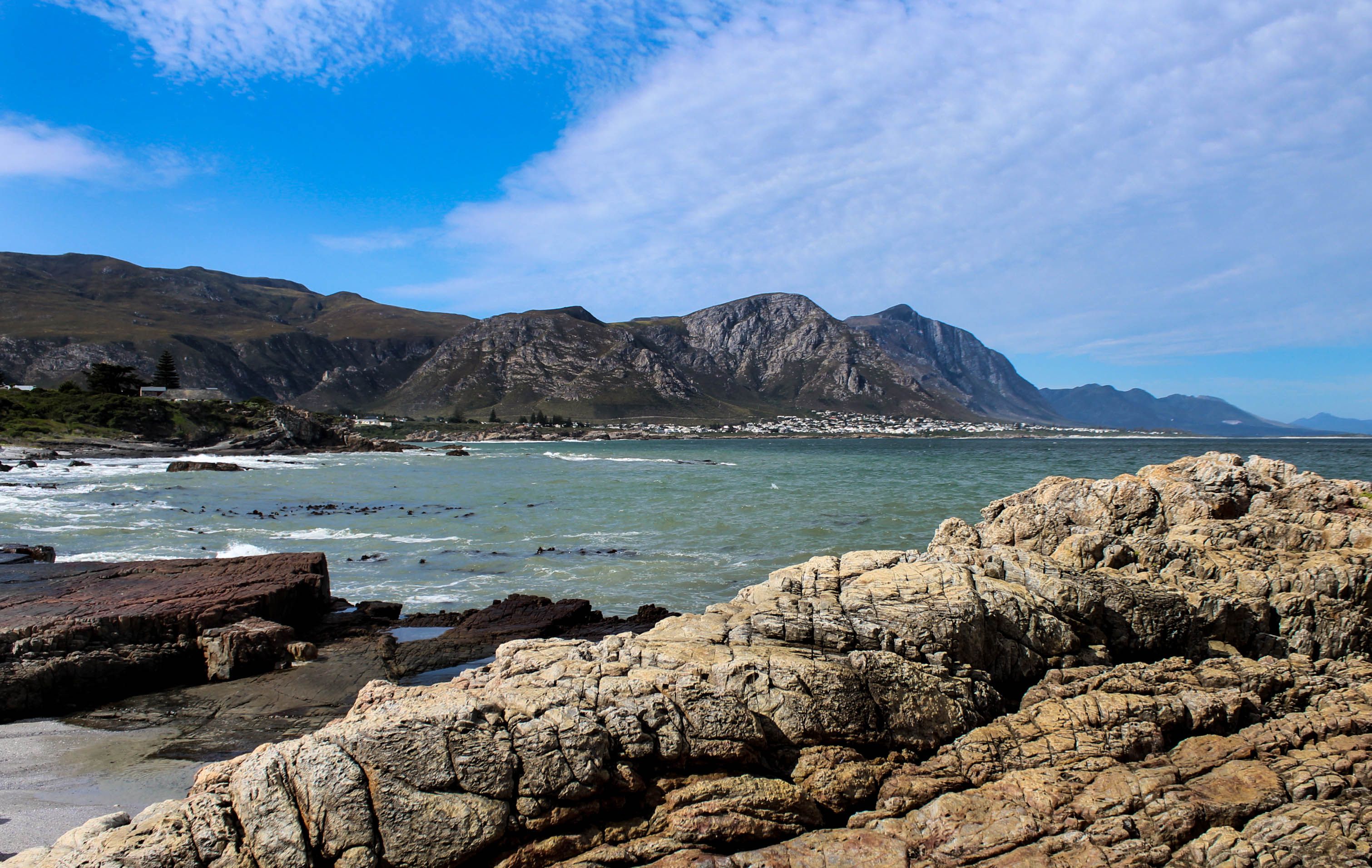 The Whale Coast