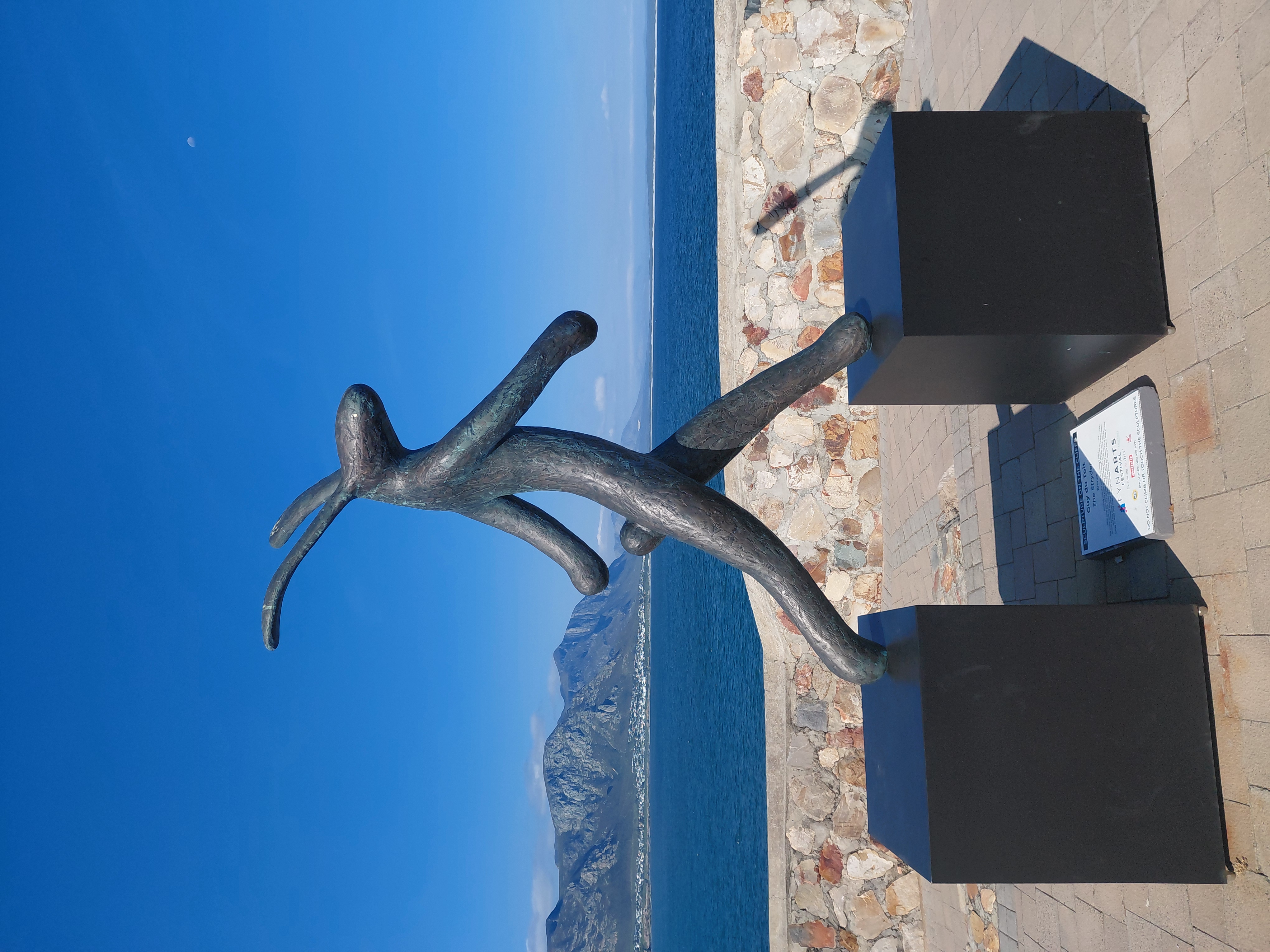 The Whale Coast