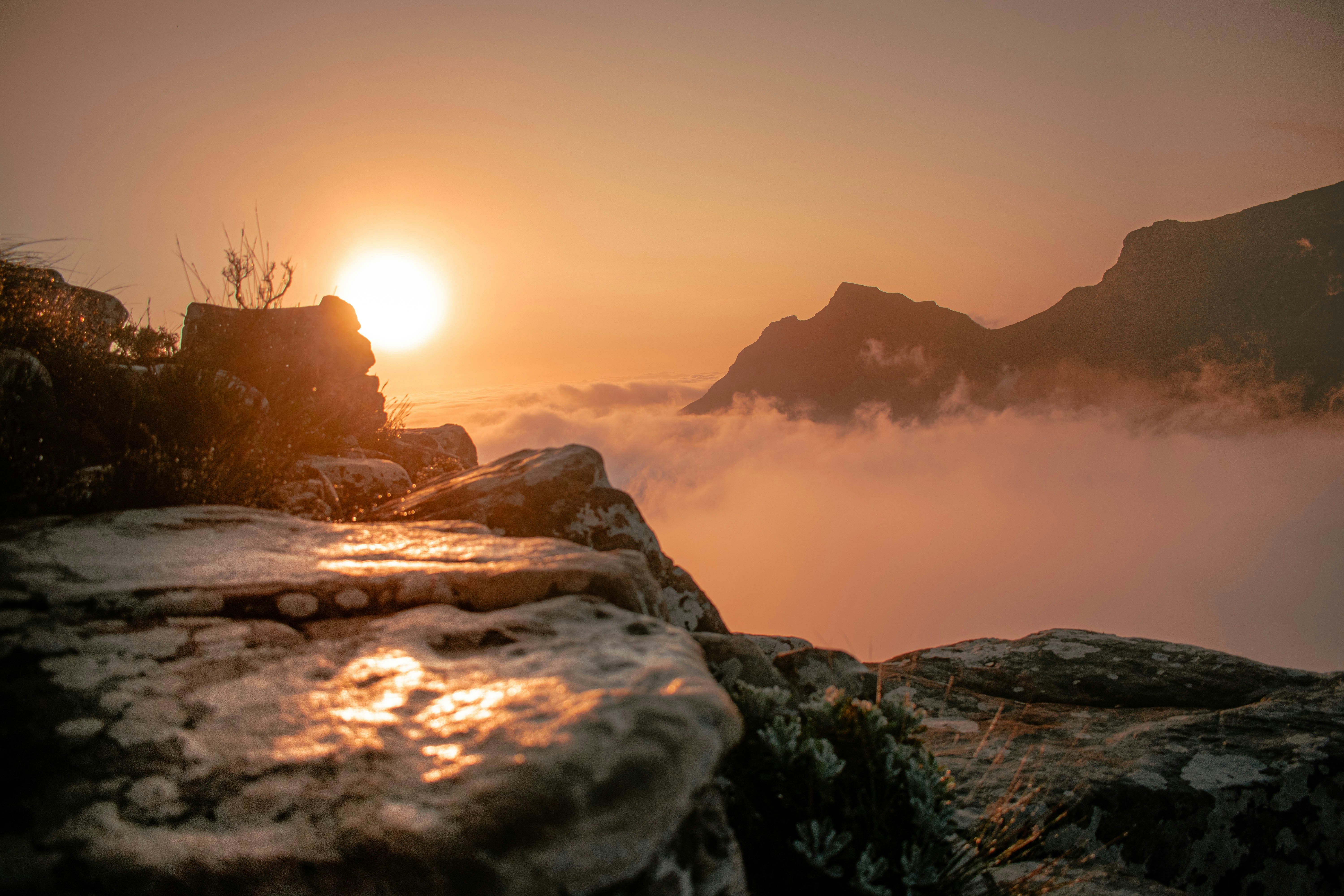 Lion’s Head in Golden Light