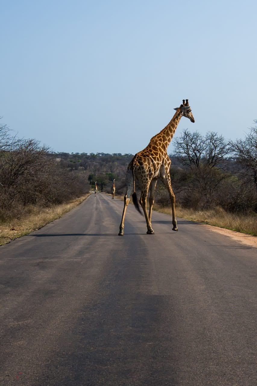 Travellers planning a personalised private tour itinerary